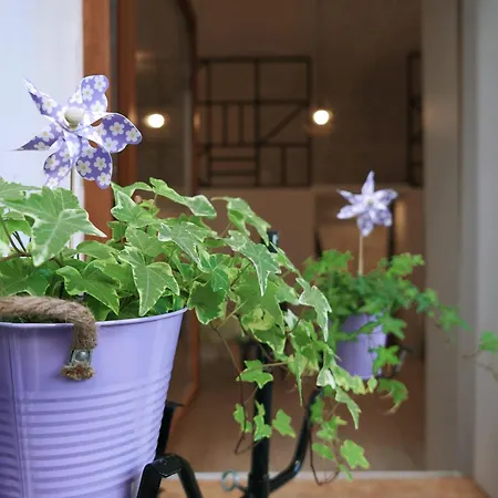 Lejlighed Central Studio Apartment *