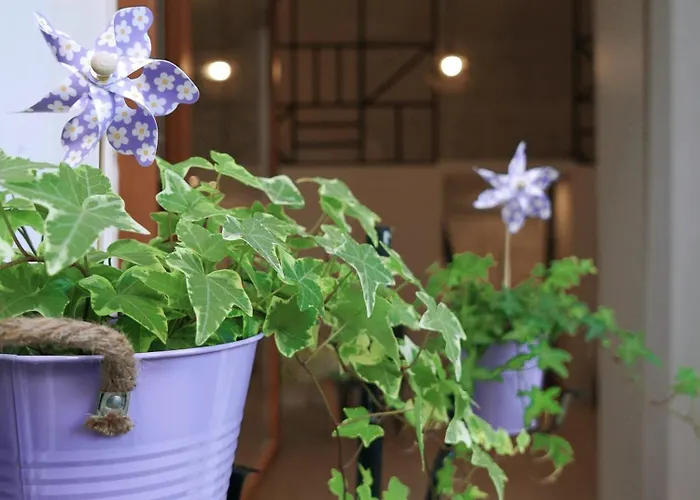 Apartmán Central Studio Apartment *